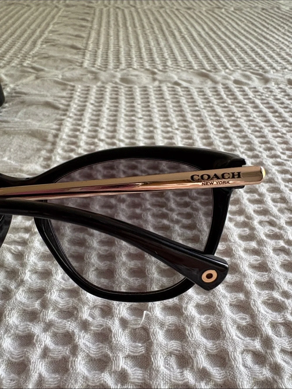 Women’s Sunglasses in Coach Case- Coach Celia HC8084
